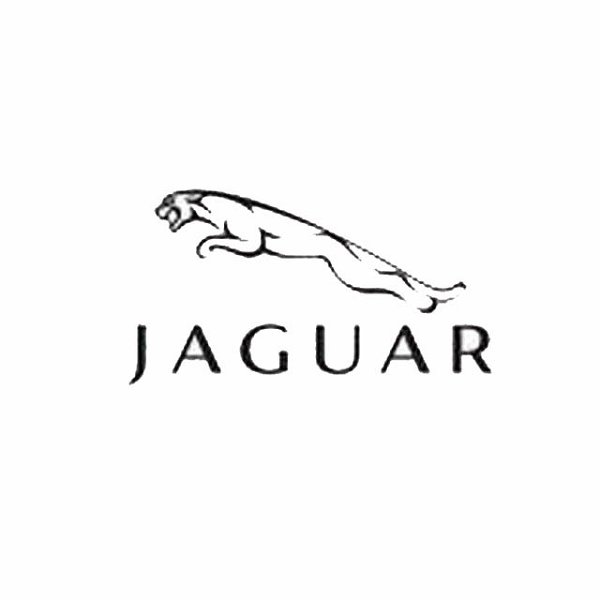 - JAGUAR -.jpg